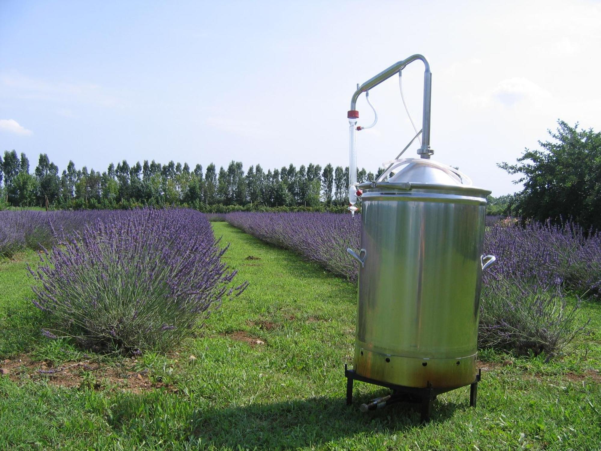 Agriturismo Domus Magna Povoletto Eksteriør billede