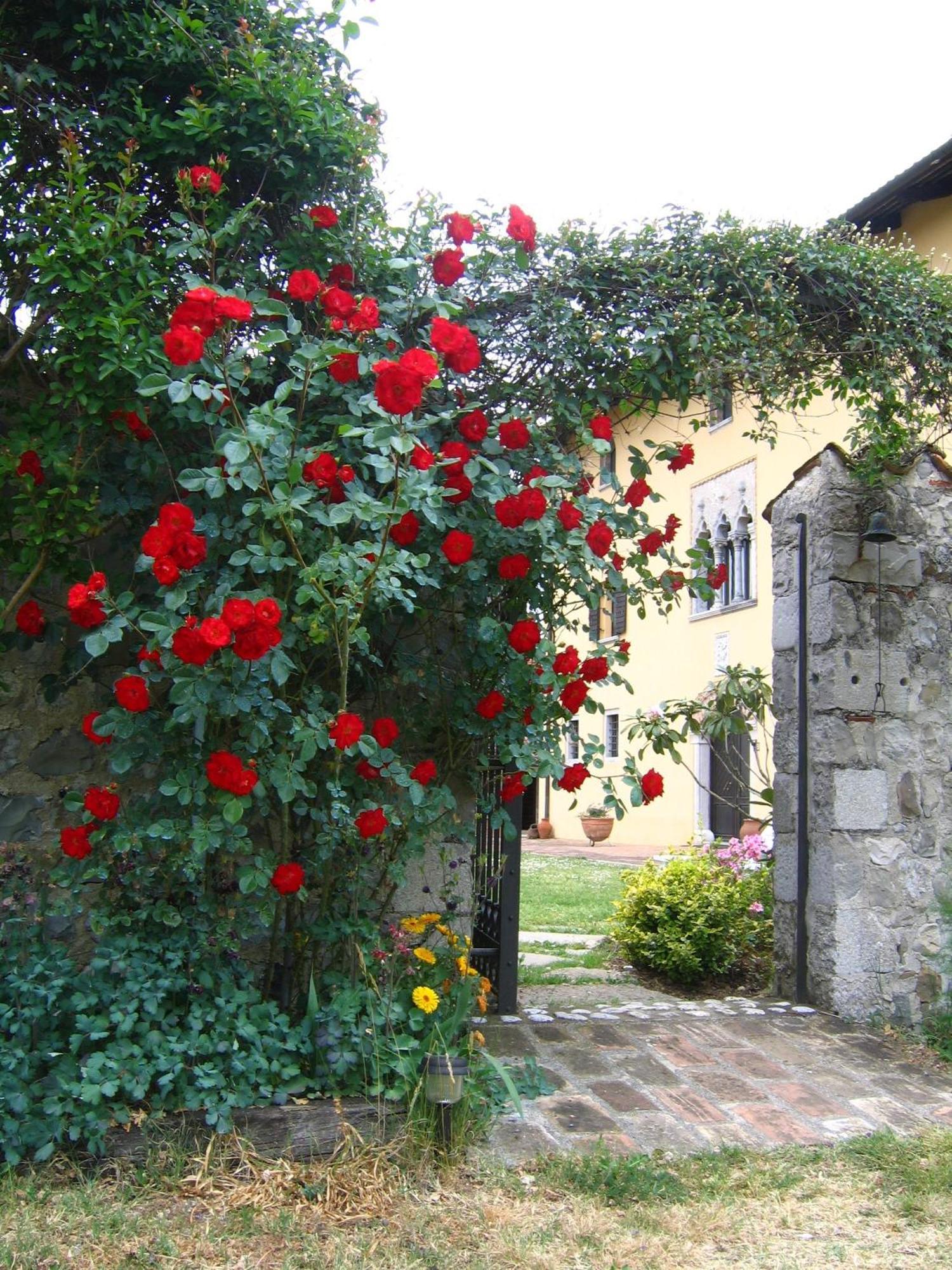 Agriturismo Domus Magna Povoletto Eksteriør billede