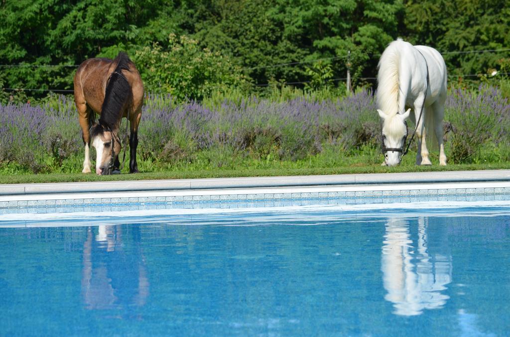 Agriturismo Domus Magna Povoletto Eksteriør billede